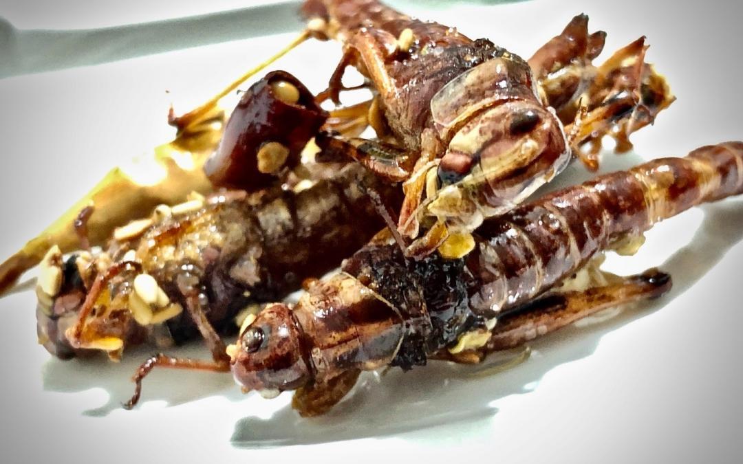 Chinesische Küche – eine pikante Herausforderung